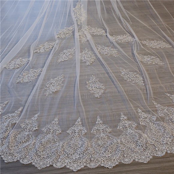 Elegant Long Lace-Edged Bridal Veil in White 3.5M